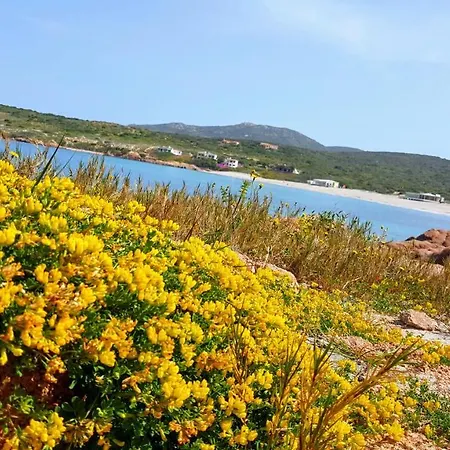 Casa Santorsola Casa vacanze Trinità dʼAgultu